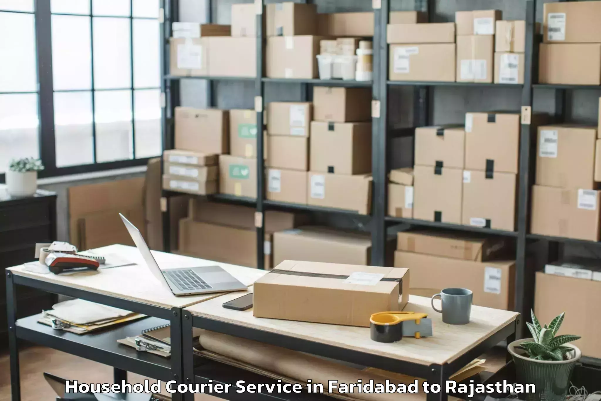 Professional Faridabad to Chittorgarh Household Courier